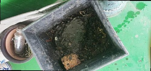 안성 안성3동 하수구막힘 주방 배수 상태와 하부장 배관을 점검하는 모습