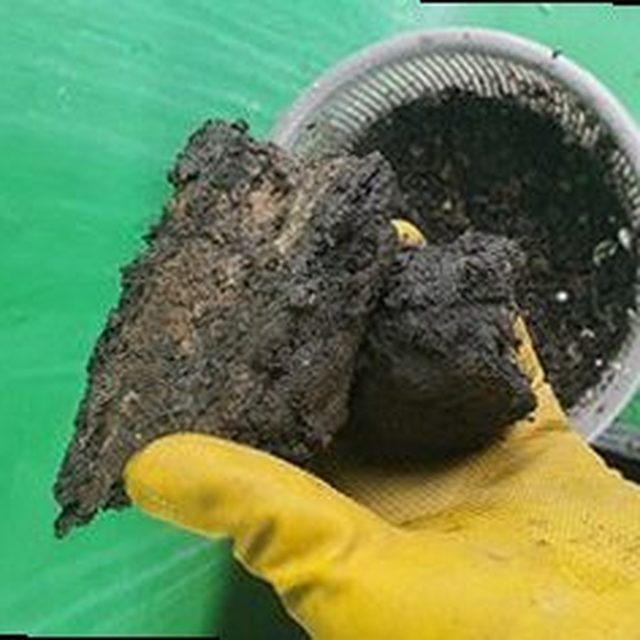 안성 하수구막힘 고삼면