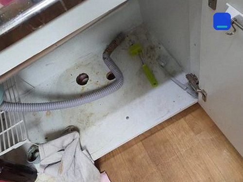 안성 · 전화 상담 뒤 방문 고객 글 사진